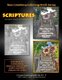 New Creations Coloring Book Series - Scriptures (Paperback): Teresa Davis