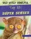 Top 10: Super Senses (Hardcover): Virginia Loh-Hagan