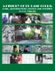 A History of Du Cane Court - Land, Architecture, People and Politics (Paperback): Gregory K. Vincent