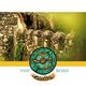 Eaden - The Road (CD): Eaden