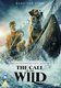 The Call Of The Wild (DVD): Harrison Ford