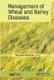Management of Wheat and Barley Diseases (Paperback): Devendra Pal Singh