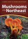 Mushrooms of the Northeast - A Simple Guide to Common Mushrooms (Paperback): Teresa Marrone, Walt Sturgeon