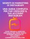 Segreti di marketing di Instagram - una guida completa per far crescere il tuo account Instagram, come creare il marchio...