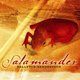 Bellevue Rendezvous - Salamander (CD): Bellevue Rendezvous