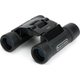 Celestron UpClose G2 Roof Binocular (10 x 25)(Black): 