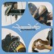 Mildlife - Automatic (CD): Mildlife