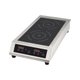 Induction Cooker (double): 