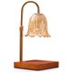 Chenshia Candle Warmer Lamp with Adjustable Height, Timer & Dimmer+2 Bulbs - Gold: 