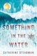 Something in the Water - A Novel (Large print, Paperback, Large type / large print edition): Catherine Steadman