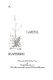 A Careful Scattering (Paperback): Philip Burnham Jr.