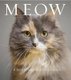 Meow - A book of happiness for cat lovers (Paperback): Anouska Jones