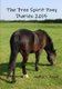 The Free Spirit Pony Diaries 2015 (Paperback): Andree L Ralph