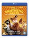 Fantastic Mr. Fox (Blu-ray disc): George Clooney, Owen Wilson, Meryl Streep, Bill Murray, Willem Dafoe, Jason Schwartzman,...