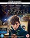 Fantastic Beasts And Where To Find Them - 4K Ultra HD + Blu-Ray (Blu-ray disc): Eddie Redmayne