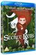 The Secret of Kells (Blu-ray disc): Venise du Bois du Roy, Brendan Gleeson, Liam Hourican, Mick Lally, Michael McGrath, Evan...