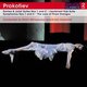 Various Artists - Prokofiev: Romeo & Juliet Suites Nos. 1 and 2/... (CD): Sergei Prokofiev, New York Philharmonic Orchestra,...