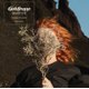 Goldfrapp - Silver Eye (CD): Goldfrapp