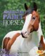 American Paint Horses (Hardcover): David Denniston