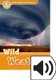 Oxford Read and Discover: Level 5: Wild Weather Audio Pack (Mixed media product): Jacqueline Martin