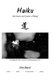 Haiku (Paperback): Don Baird
