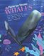 How to Draw Whales Step-by-Step Guide - Best Whale Drawing Book for You and Your Kids (Paperback): Andy Hopper
