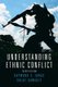 Understanding Ethnic Conflict (Paperback, 4th New edition): Raymond Taras, Rajat Ganguly