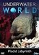 Underwater World: Placid Labyrinth (DVD): Underwater World