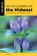Wildflowers of the Midwest - A Field Guide to Over 600 Wildflowers in the Region (Paperback): Don Kurz
