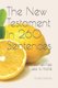 The New Testament in 260 Sentences - Because for devotional reading sometimes less is more;) (Paperback): Karla Kay Minick