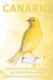 Canario - Datos divertidos sobre las aves para ninos #13 (Spanish, Paperback): Michelle Hawkins
