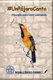 #UnPajaroCanta - Filosofia para vivir cantando (Spanish, Paperback): Documentos Digitales Origin Docdigori(r)