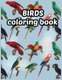 Birds coloring book - Beautiful Birds Designs, Bird Coloring, Great Coloring Book for Kids age 3-8 (Paperback): Tanvir...