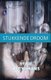 Stukkende Droom (Afrikaans, Paperback): Sybie Kleynhans
