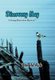 Discovery Bay - A Young Detectives Mystery (Hardcover): Kirk Keith Donald