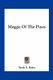 Meggie of the Pines (Paperback): Sarah S. Baker
