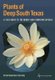 Plants of Deep South Texas - A Field Guide to the Woody and Flowering Species (Paperback): Alfred Richardson, Ken King