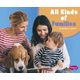 All Kinds of Families (Paperback): Martha E. H Rustad