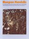 Bluegrass Mandolin (Paperback): Jack Tottle