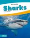 Animals: Sharks (Hardcover): Nick Rebman