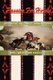 Passion for Horses (Paperback): Katie Gooch