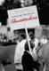 Country Shows of Gloucestershire (Paperback): Hollie Crawshaw