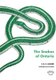 The Snakes of Ontario (Paperback): E B S Logier