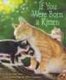 If You Were Born a Kitten (Paperback, 1st Aladdin Paperbacks Ed): Marion Dane Bauer
