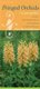 Fringed Orchids in Your Pocket - A Guide to Native Platanthera Species of the Continental United States and Canada (Paperback):...