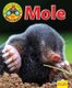 Wildlife Watchers: Mole 2017 (Paperback): Ruth Owen