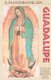 A Handbook on Guadalupe (Paperback): Franciscan Friars of the Immaculate