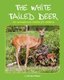 The White Tailed Deer - An introductory booklet for children (Paperback): Martha Philbeck