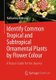 Identify Common Tropical and Subtropical Ornamental Plants by Flower Colour - A Nature Guide for the Journey (Paperback, 1st...