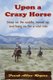 Upon A Crazy Horse (Paperback): Frank Allan Rogers